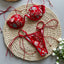 Novalee | Costume da bagno diviso con ricamo