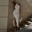 Elara | Chic Asymmetric Dress