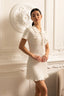 Rosa | Sophisticated Mini Dress