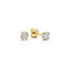 Domitia | Schickes Gold-Ohrring-Set